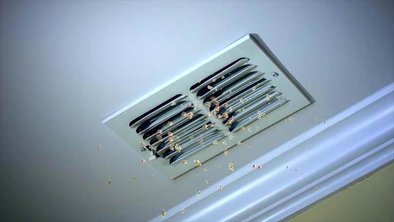 Best Affordable Duct Cleaning Services  in Watertown, WI