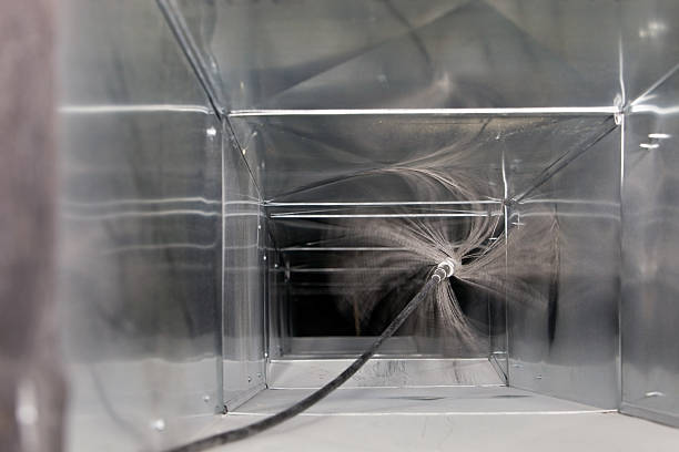 Best Air Duct Mold Removal  in Watertown, WI